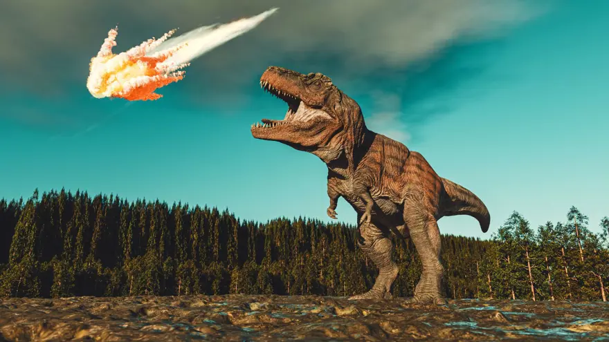 ÇOK DAHA SIRADAN BİR ÖLÜM ÇOK DAHA SIRADAN BİR ÖLÜM