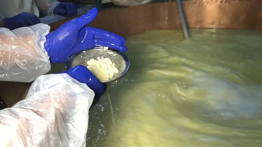 Kars'ta dünyaca ünlü gravyer peynirinin üretimine başlandı 4