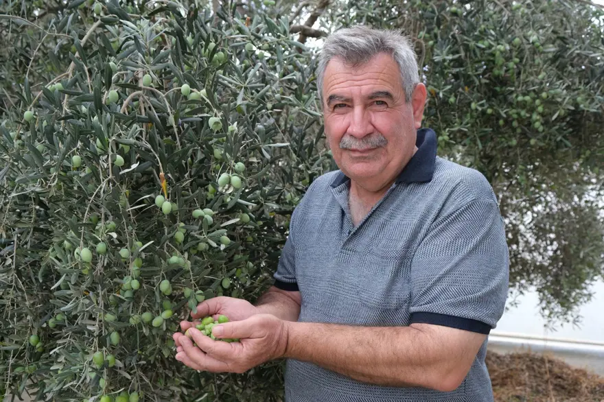 "Yok yılı" rekolte beklentisini düşürdü: Sahtesine karşı uyarı 1