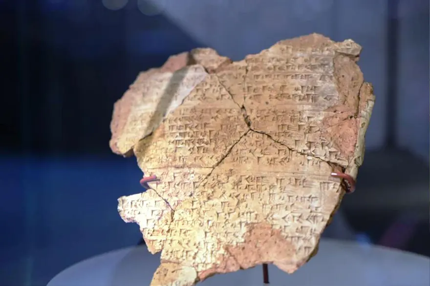 17 yıldır çalışmalar sürüyor! Kutsal suyun içinden çıkan 3 bin yıllık fındık 2