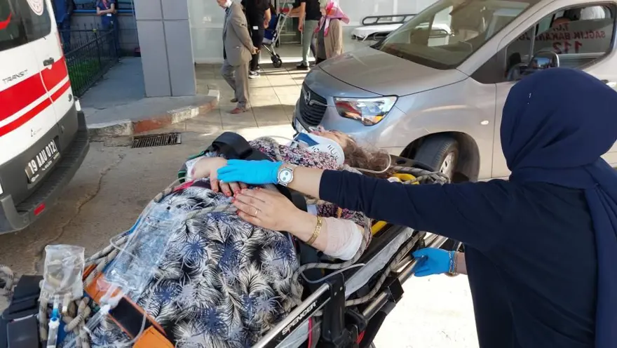 Abla-kardeş mantar toplarken uçurumdan yuvarlandı 1