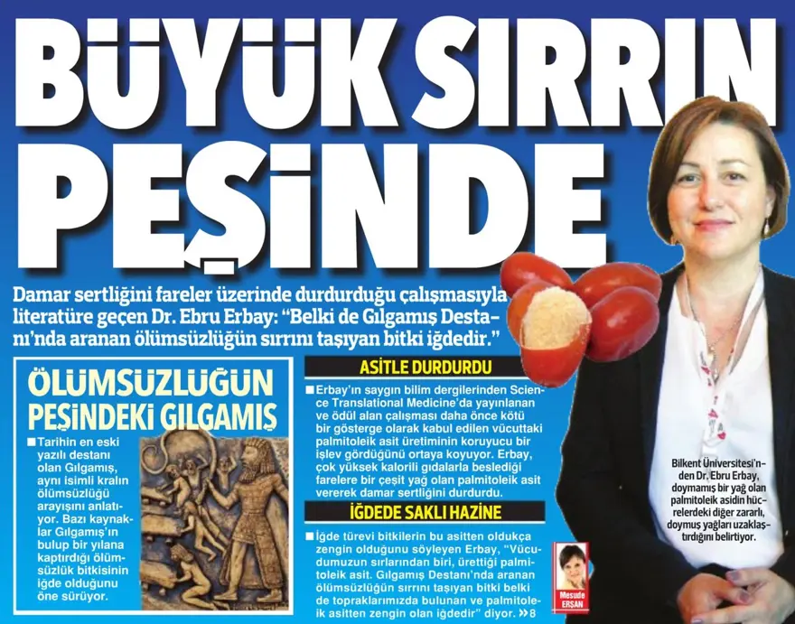 Günün gazete manşetleri - 06.05.2017 