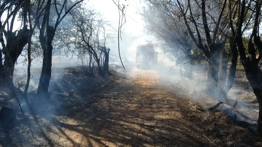 Çöpleri yakmak istedi: Meyve bahçelerini küle çevirdi 3 Çöpleri yakmak istedi: Meyve bahçelerini küle çevirdi 3