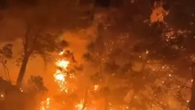 Hatay'da orman yangını