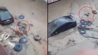 Sel felaketinin yeni görüntüleri: Dayı dayan dayı