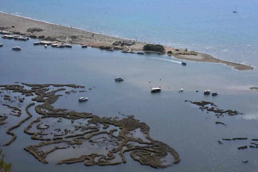 Labirent sazlıkları ile turistlerin gözdesi: Dalyan Kanalı 18 Labirent sazlıkları ile turistlerin gözdesi: Dalyan Kanalı 18
