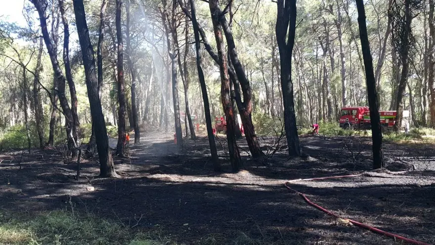 Manavgat’ta oteller bölgesine yakın noktada orman yangını 4 Manavgat’ta oteller bölgesine yakın noktada orman yangını 4