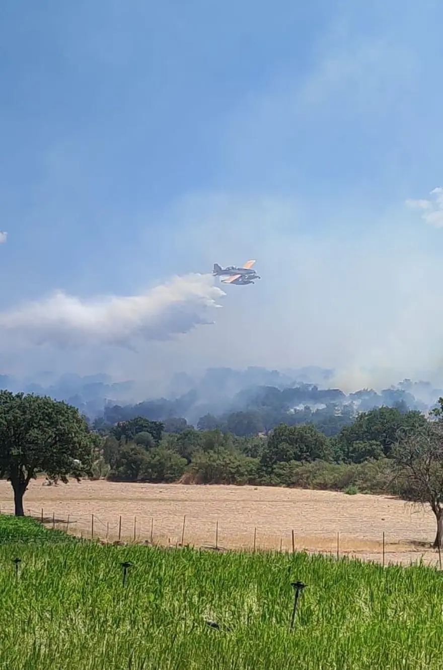 Balıkesir'de orman yangını 5 Balıkesir'de orman yangını 5