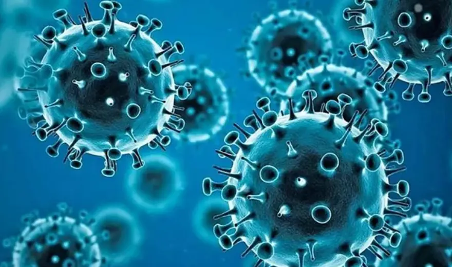 Bilim insanlarını korkutan yeni Omicron varyantı: BA.2.75 aşılardan ve önceki bağışıklıktan kaçabilir 5