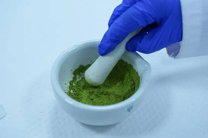 Son yılların popüler çayı arasında: Matcha çayı nedir? Matcha tozu faydaları neler? 2