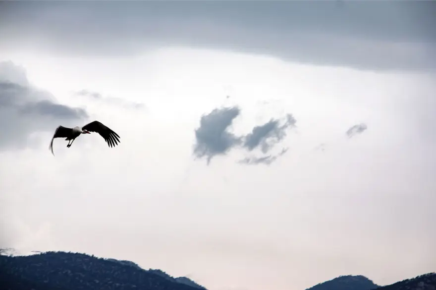 Leyleklere BBG evi 5 Leyleklere BBG evi 5