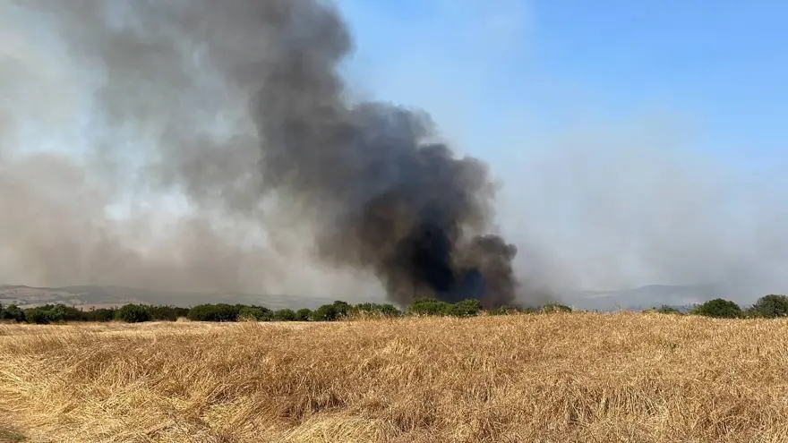 Çanakkale Biga'da orman yangını 2