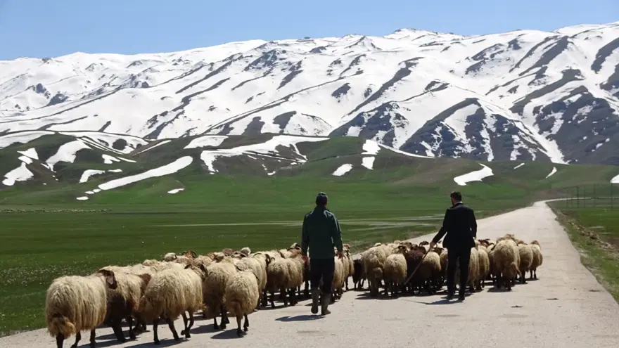 "BÜYÜK SIKINTI YAŞANIYOR" 3 "BÜYÜK SIKINTI YAŞANIYOR" 3