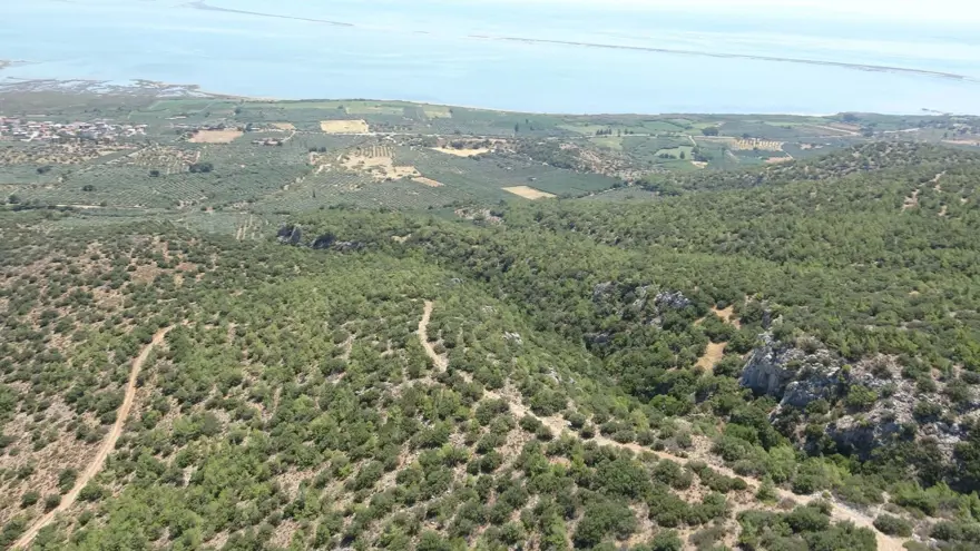 Helikopterler havalandı, komandolar devriye attı: Aydın’da orman yangını alarmı 1