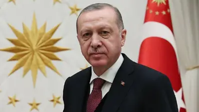 Cumhurbaşkanı Erdoğan'dan Sakarya Zaferi'nin 104. yıl dönümü mesajı