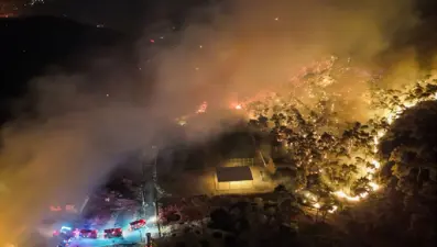 Aliağa'da alevler kontrol altında