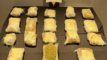 Malatya’da 11 kilo 15 gram skunk ele geçirildi