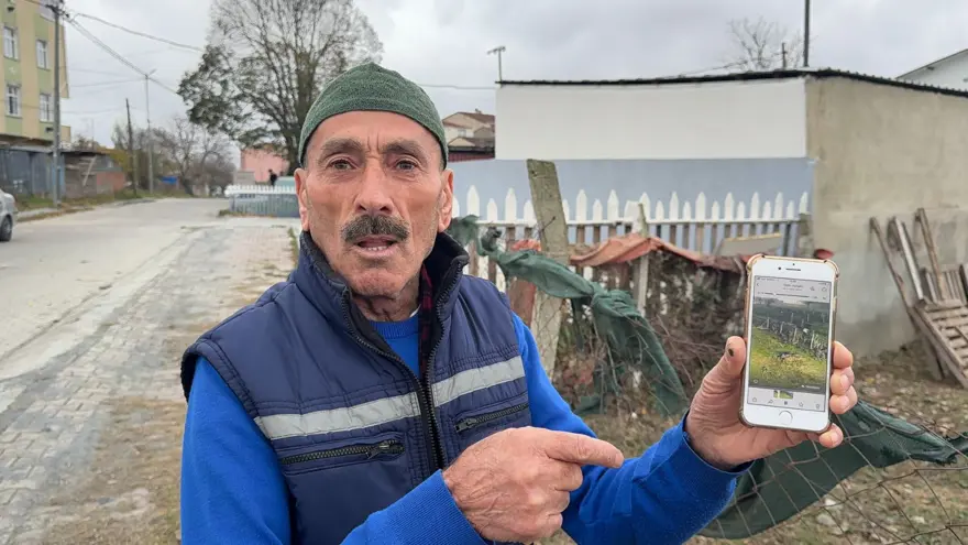 Yılbaşı öncesi hırsızlar kümeslere dadandı: "Biz besliyoruz büyütüyoruz zamanı geldi mi çalıp götürüyorlar" 1