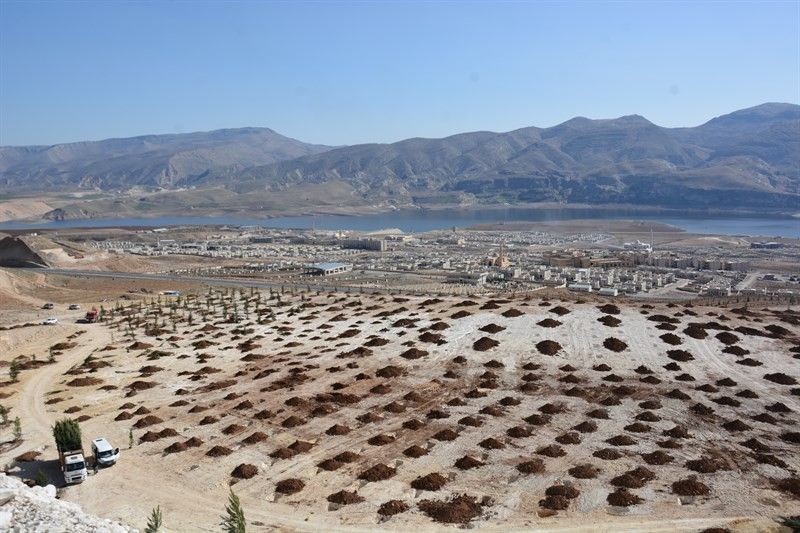 Tarihi Hasankeyf yeşilleniyor
