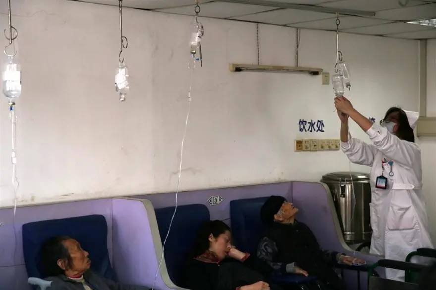 Çin'de kuş gribi alarmı 26