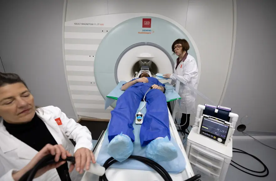 İnsan beyninin en net görüntüsü yayınlandı: Dünyanın en güçlü MRI cihazıyla çekildi 5 İnsan beyninin en net görüntüsü yayınlandı: Dünyanın en güçlü MRI cihazıyla çekildi 5