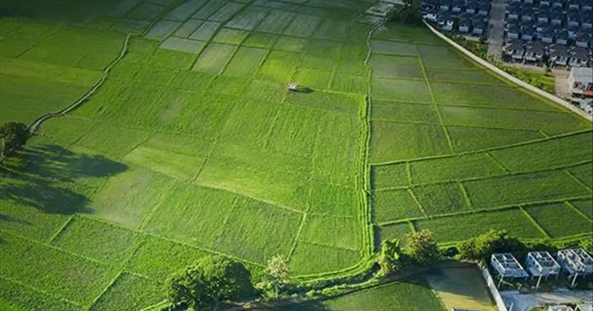 Arsa-tarla fiyatlarının en çok arttığı ve azaldığı iller