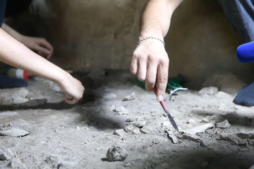 Kahramanmaraş'ta 13 bin yıllık dikiş malzemeleri bulundu 2