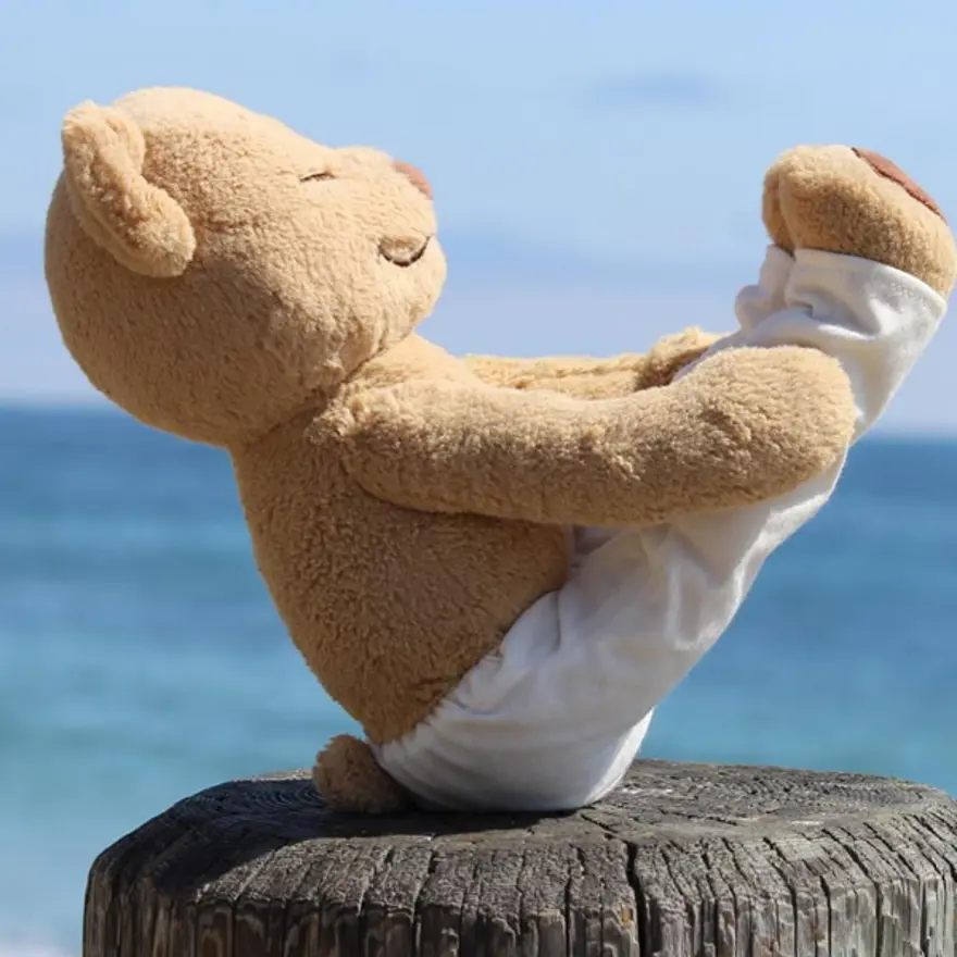 İnternetin yeni fenomeni Yogi Ayı Meddy Teddy 11