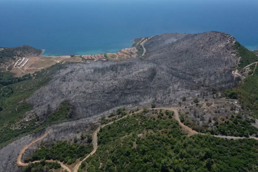 Menderes'teki orman yangınından geriye kalanlar 12