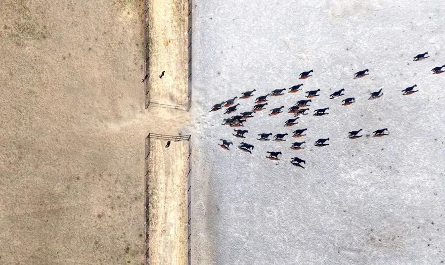 5 yılda 210 milyon lira gelir sağlandı: Açık artırmayla satışa çıkıyor 5