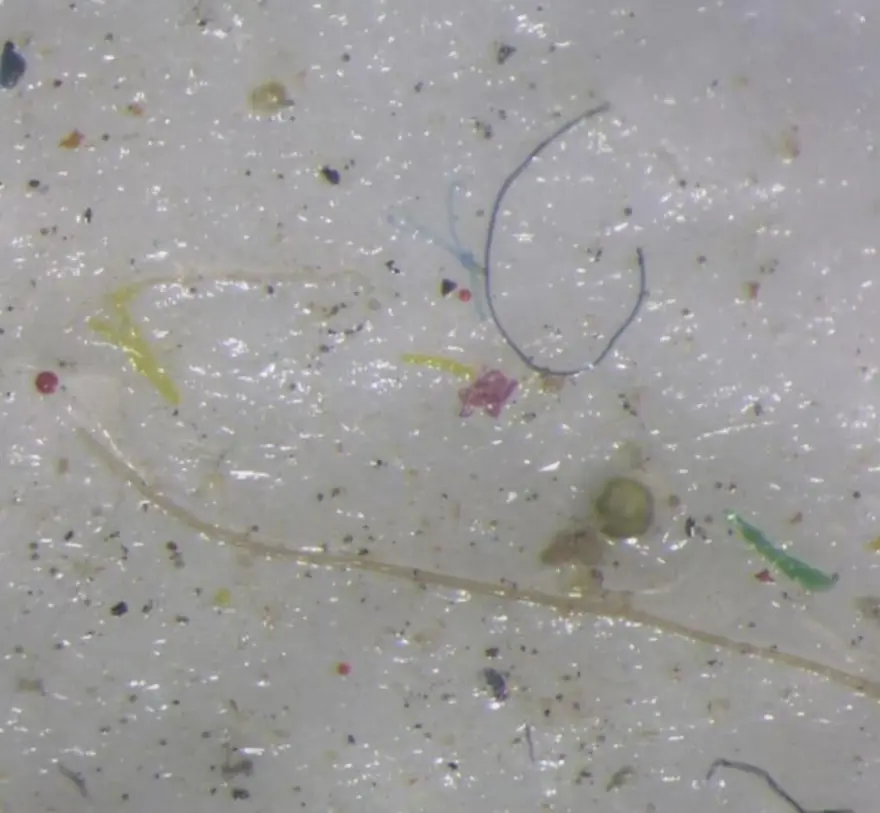 Dünyanın geleceği için dönüm noktası: Plastikleri düşük sıcaklıkta parçalayabilen mikroorganizmalar keşfedildi 1