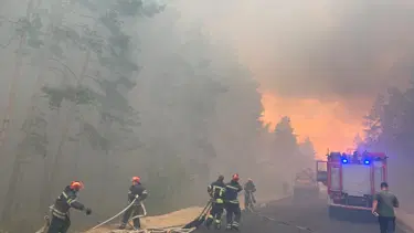 Ukrayna'da orman yangınlarında 5 kişi öldü