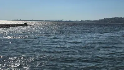 Kötü koku İzmir'i sardı, nedeni belli oldu