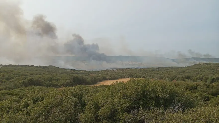 Çanakkale'de orman yangını kontrol altında 58