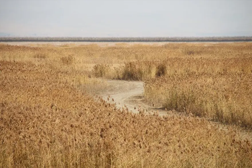Tamamen kuruyan Akşehir Gölü'nün tabanında su bulundu 5 Tamamen kuruyan Akşehir Gölü'nün tabanında su bulundu 5