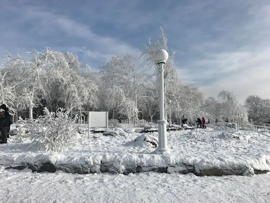 Niagara Şelalesi buzla kaplandı 2