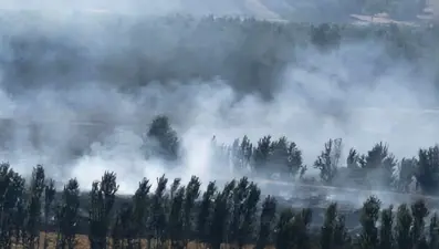 Hevsel Bahçeleri'nde yangın paniği