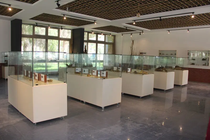Çukurova'nın ilk deniz canlıları müzesi Mersin'de açılıyor 10