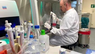 Maymun Çiçeği salgını mı başlıyor?