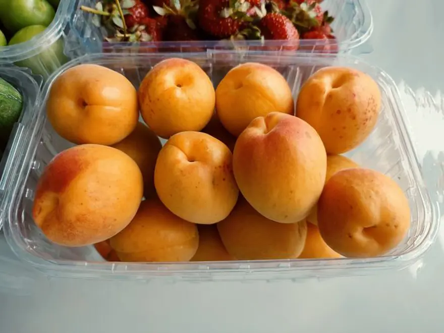 Dünyanın kayısı başkenti olarak biliniyor! Yeni dönem hasadı başladı 3