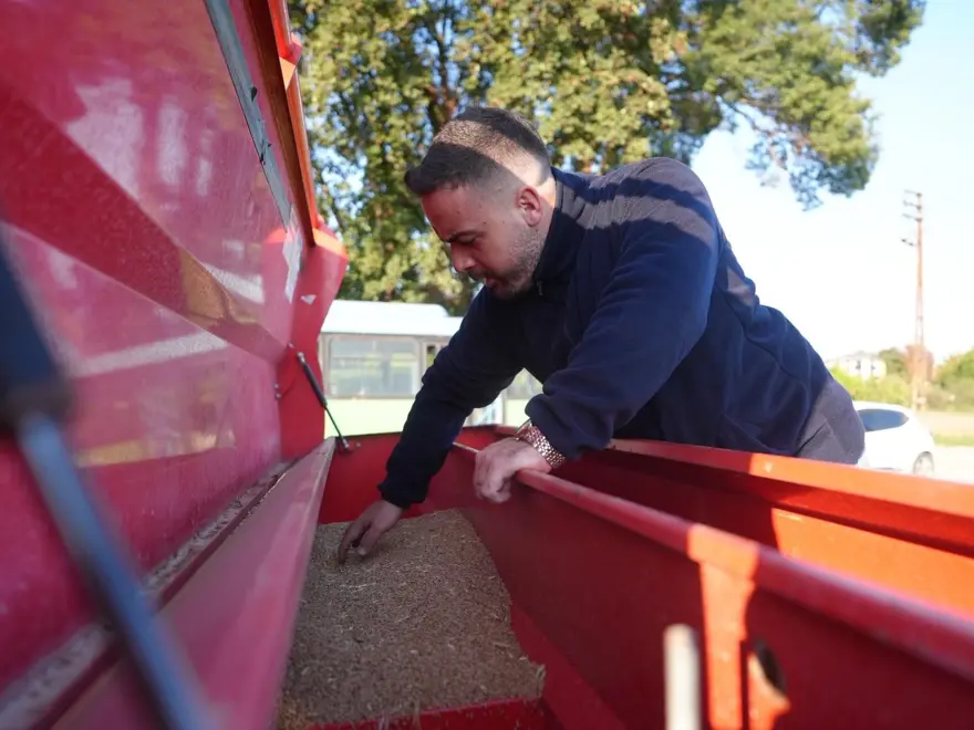 En eski buğday türlerinden biri: Artık Düzce topraklarında yetişecek 3 En eski buğday türlerinden biri: Artık Düzce topraklarında yetişecek 3