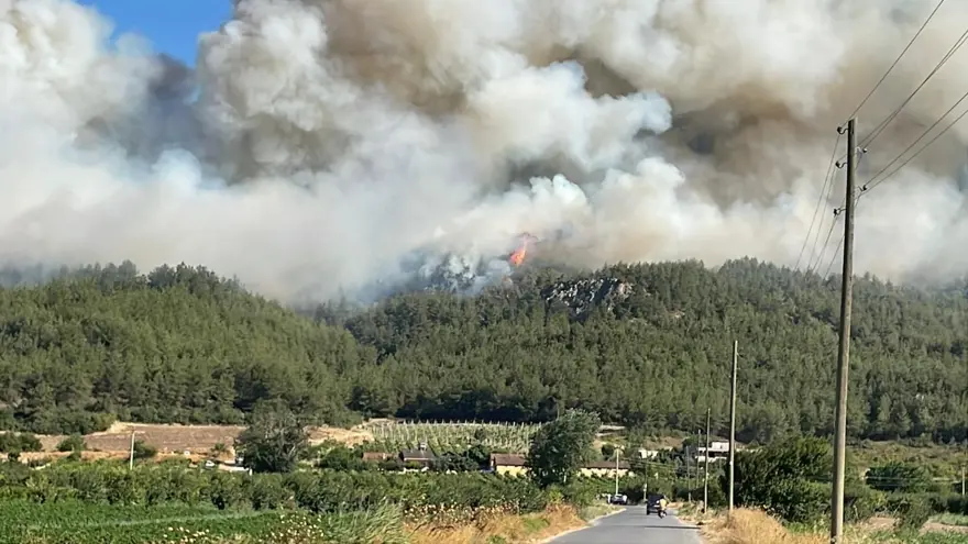 Sakarya'daki orman yangını Bilecik'e sıçradı 3 Sakarya'daki orman yangını Bilecik'e sıçradı 3