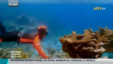 Yasemin Dalkılıç ile Dünyanın İnanılmaz Dalışları (4. Bölüm)