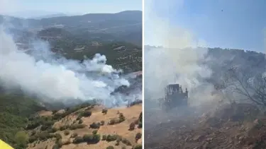 Balıkesir'de orman yangını: Kontrol altına alındı