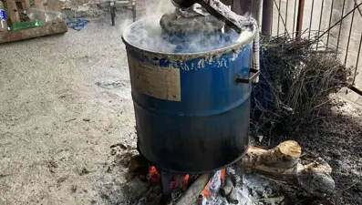 Şifa için kaynatılmaya başlandı: Her evin acil durum ilacıymış