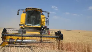 Bulanık’ta hububat hasadı başladı