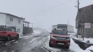 Artvin'in vadilerini sel, yaylalarını kar vurdu