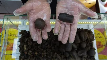 Akciğerini temizlemek isteyen ona yöneldi, talep çok: 50 gramı bin 250 liradan satılıyor