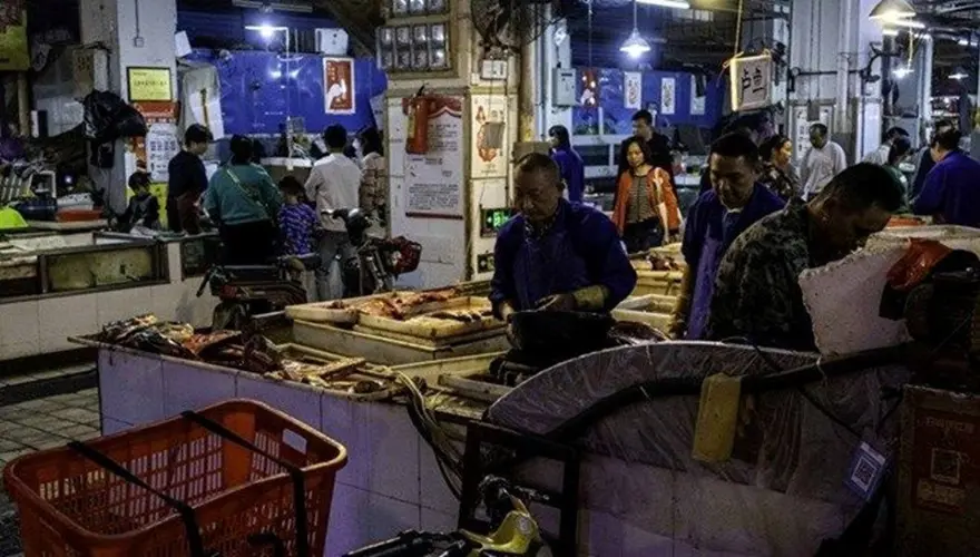 Covid-19 nasıl ortaya çıktı? Yeni iddialar 39