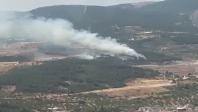 İzmir, Balıkesir ve Kahramanmaraş’taorman yangını